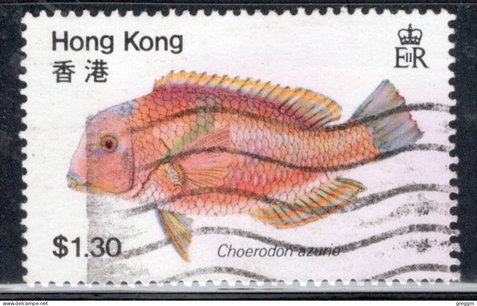 Hong Kong 1981 A Single Stamp From The Set To Celebrate Fish In Fine Used - Gebraucht