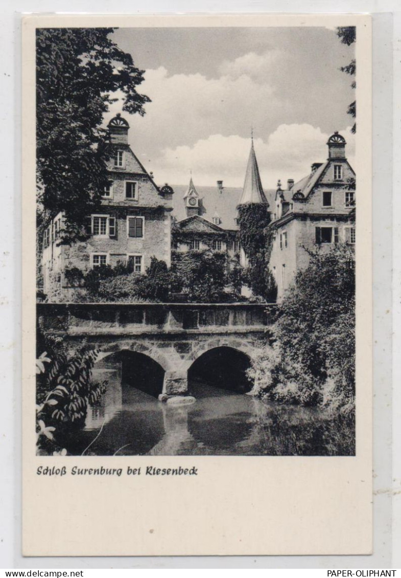 4446 HÖRSTEL - RIESENBECK, Schloß Surenburg - Steinfurt