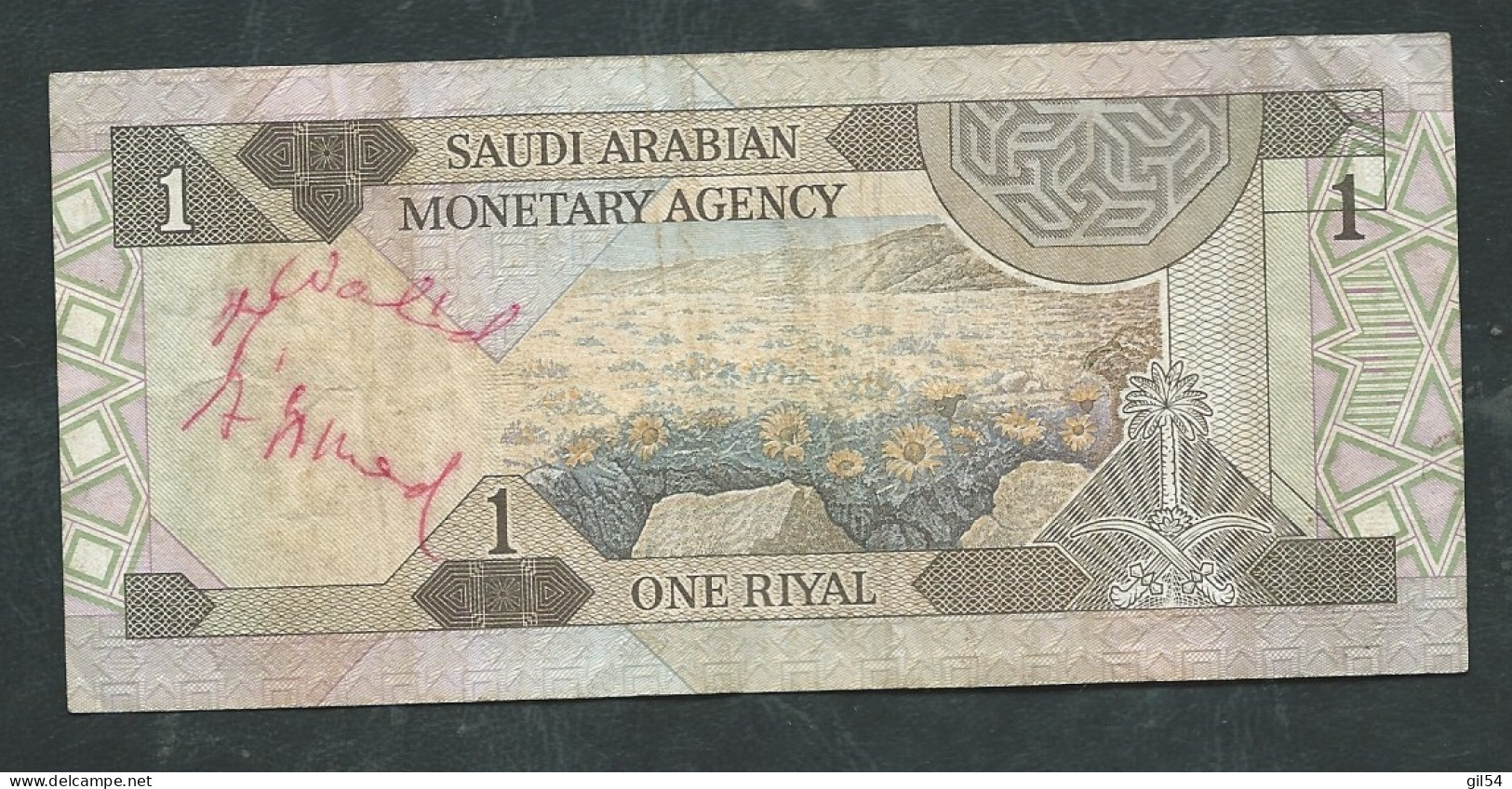 ONE RIYAL () Saudi ARABIAN LAURA 11310 - Arabia Saudita