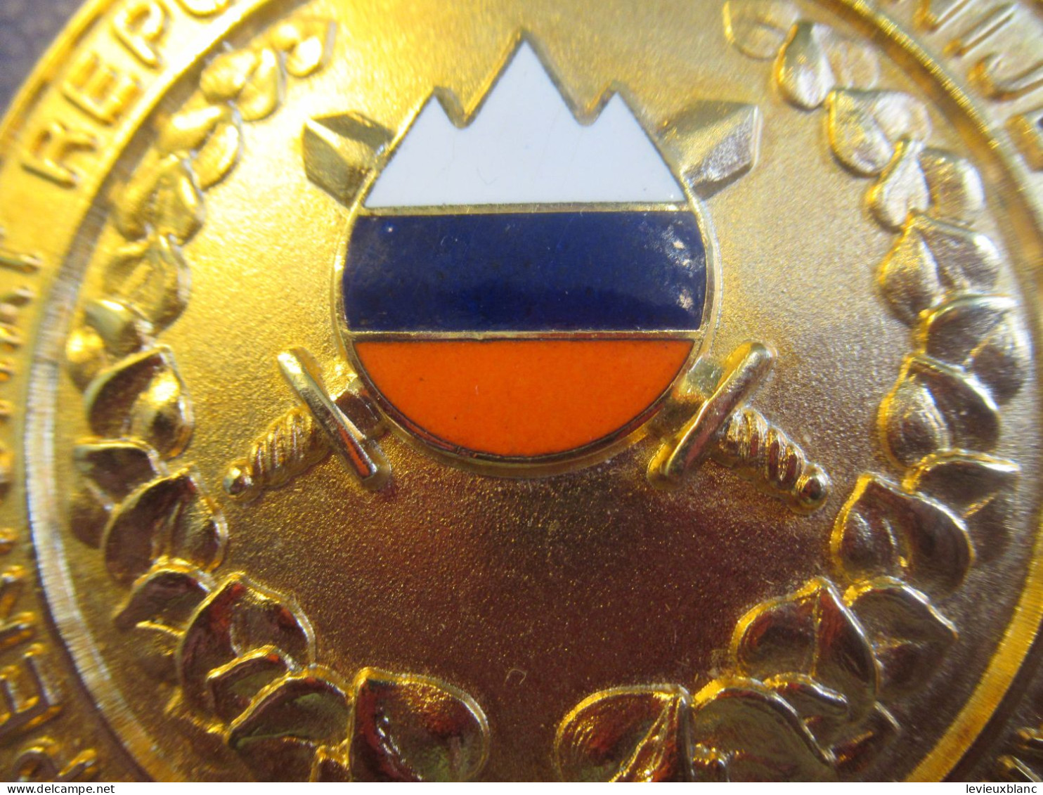 Médaille / Inspektorat Republike Slovenije Za Obrambo/ MORS/Avec Couleurs Slovènes/Date à Déterminer    MED475 - Frankreich
