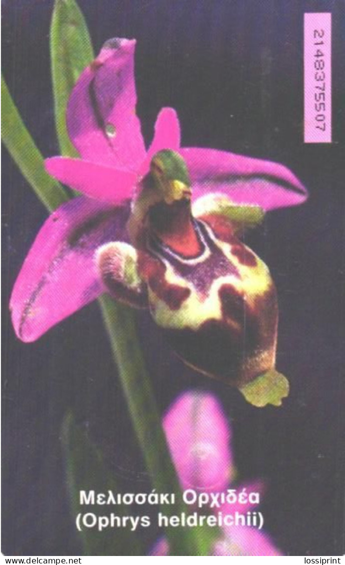 Greece:Used Phonecard, OTE, 100 Units, Ophrys Heldreichii, Flower, 1999 - Blumen