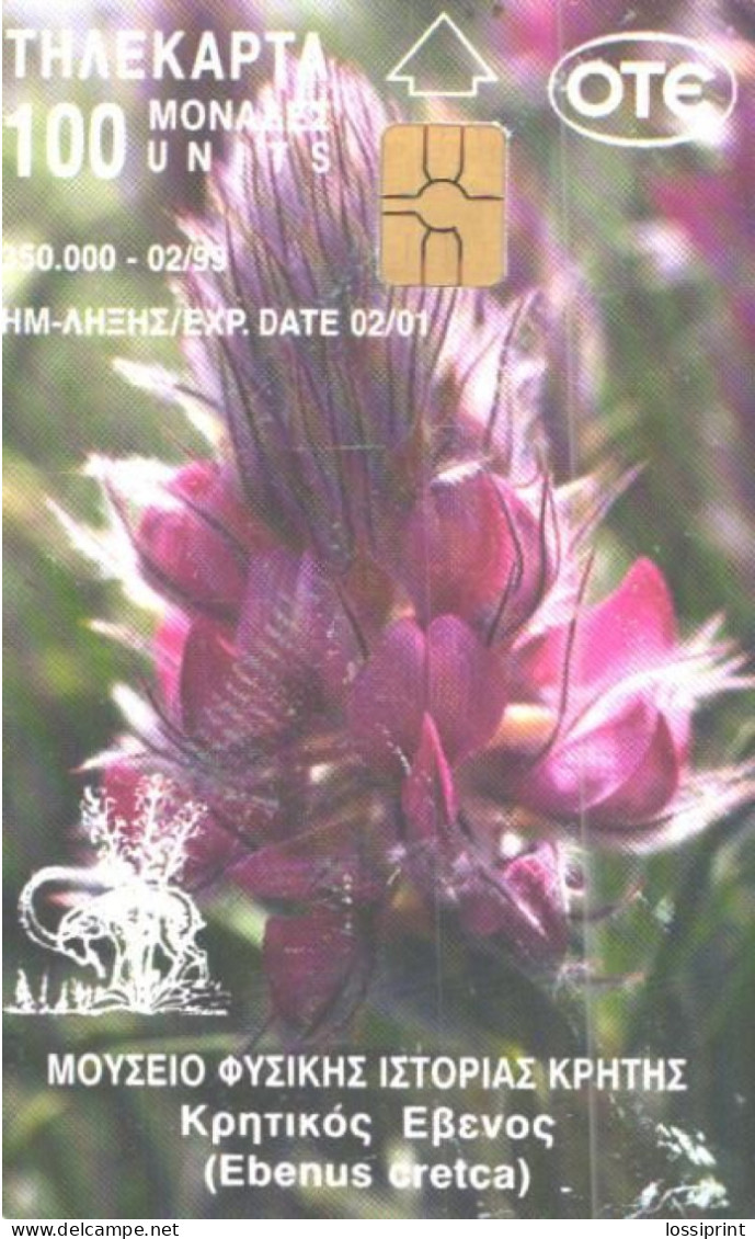 Greece:Used Phonecard, OTE, 100 Units, Ophrys Heldreichii, Flower, 1999 - Blumen