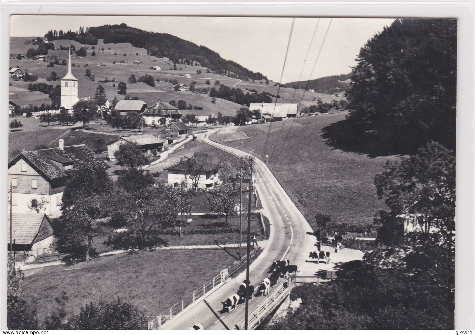 La Roche, Troupeau De Vaches Venant De La Route De Montsofloz. Format 10 X 15 - La Roche