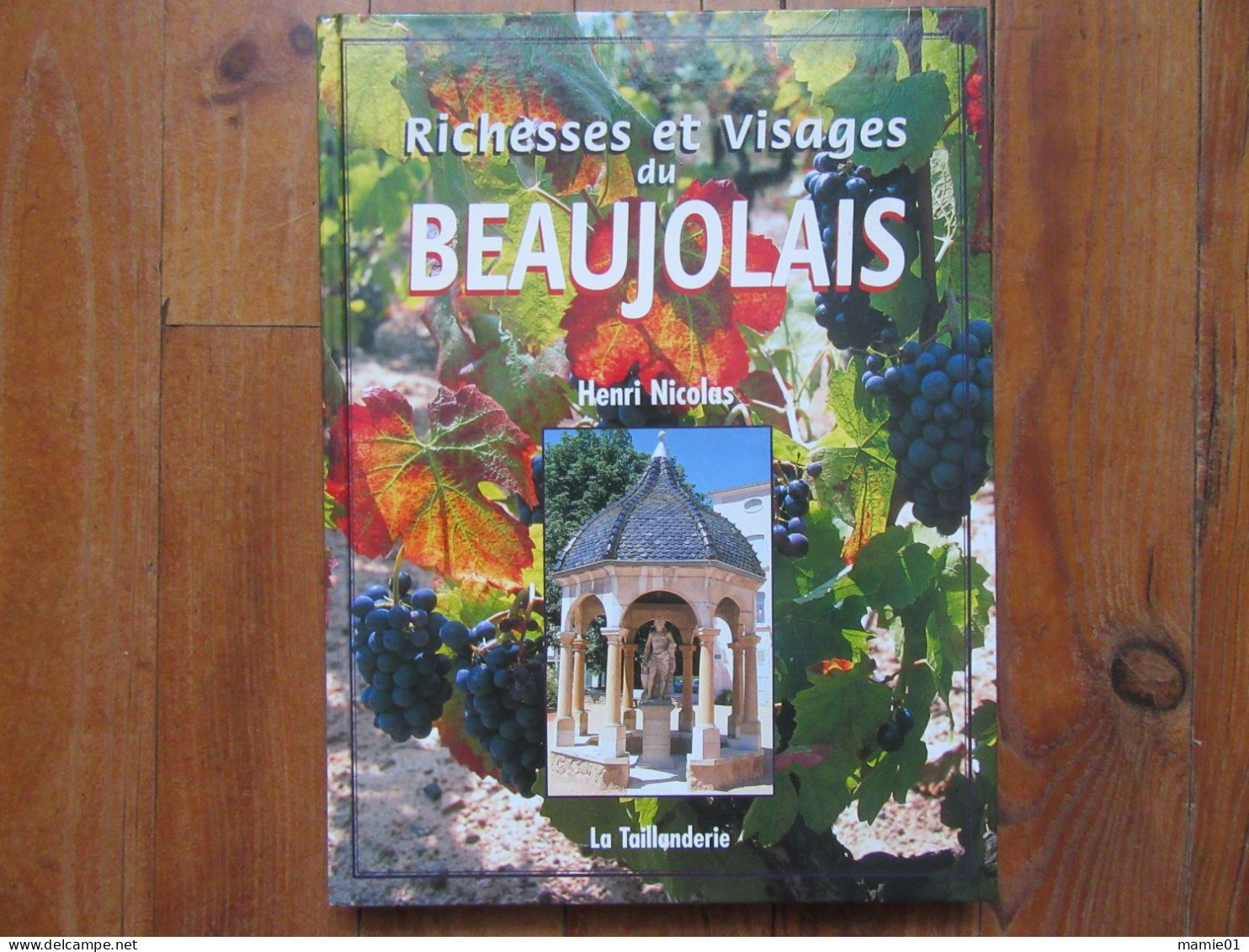 Richesses Et Visages Du Beaujolais    ( Rhône Alpes ) - Rhône-Alpes