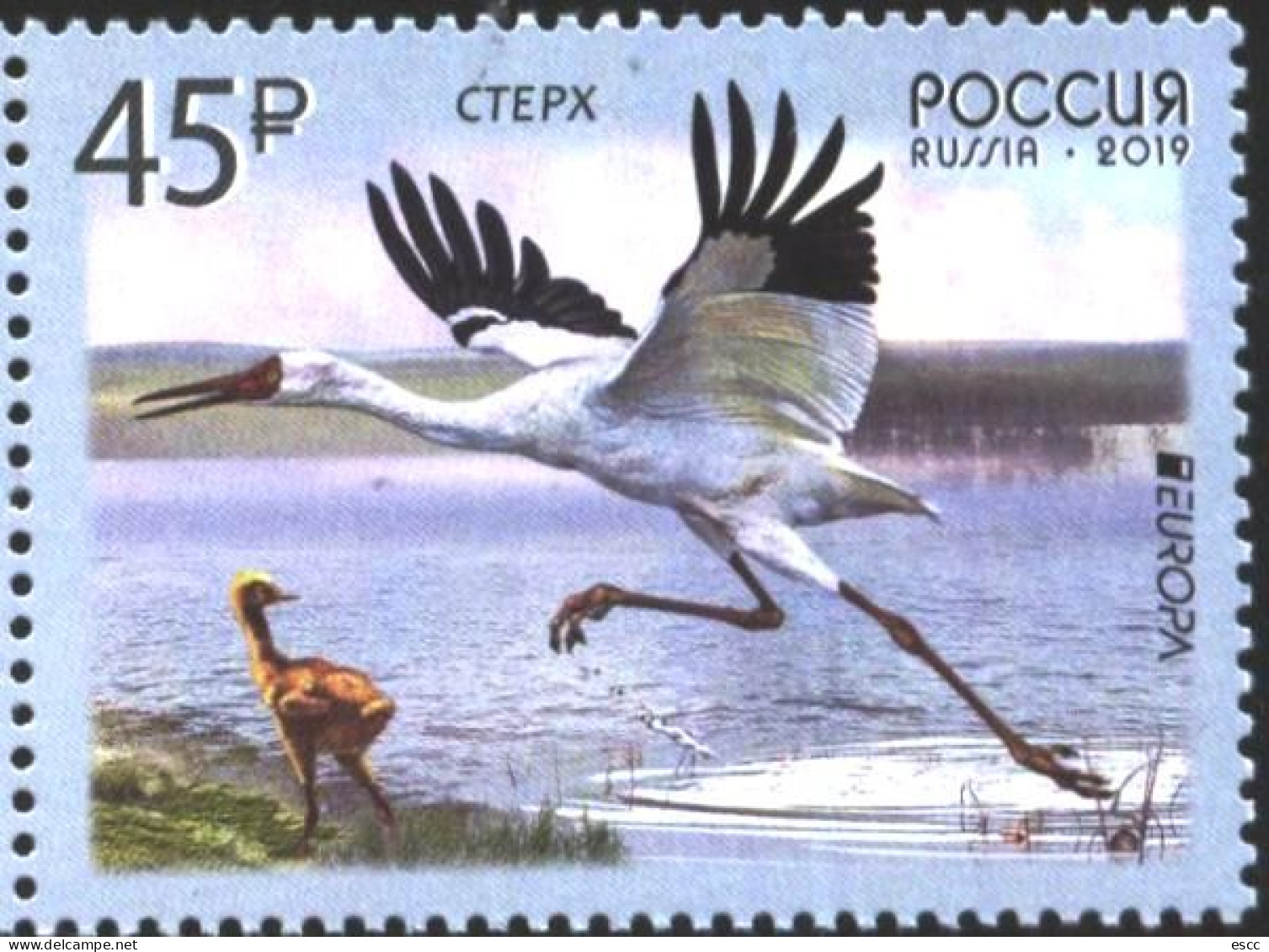 Mint Stamp  Europa CEPT Bird  2019 From  Russia - 2013