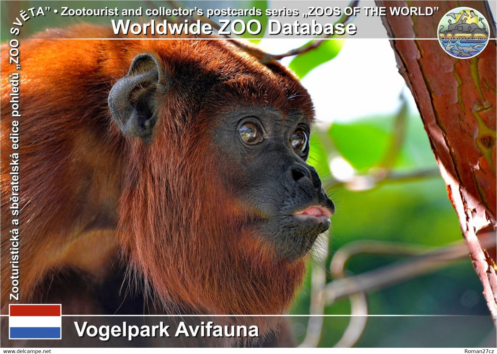 01152 Vogelpark Avifauna, NL - Venezuelan Red Howler Monkey (Alouatta Seniculus Seniculus) - Alphen A/d Rijn