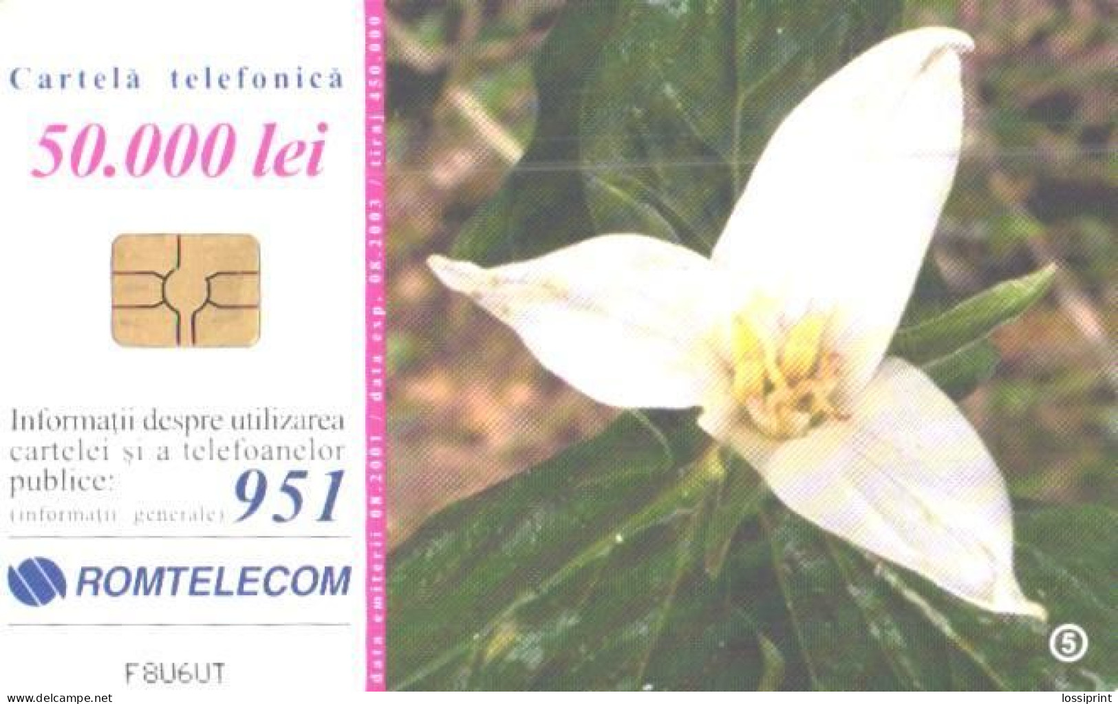 Romania:Used Phonecard, Romtelecom, 50000 Lei, Flowers, 2001 - Fleurs