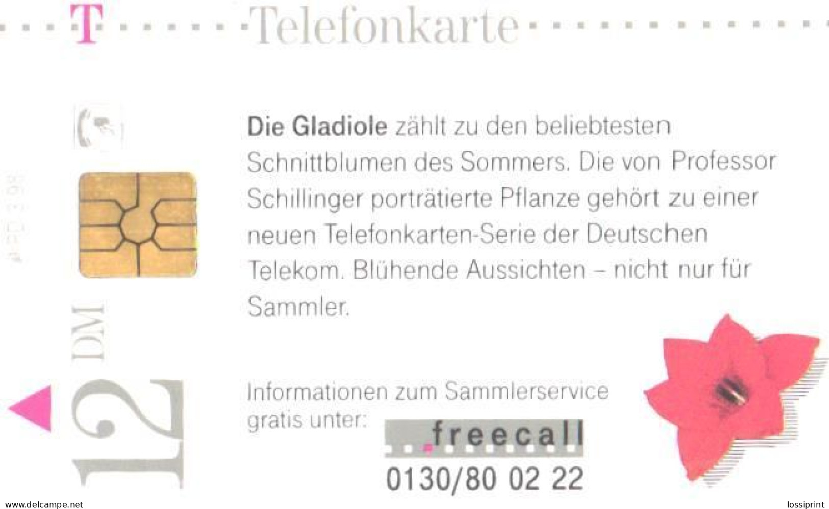 Germany:Used Phonecard, T, 12 DEM, Flower, Gladiolus, 1998 - Flores