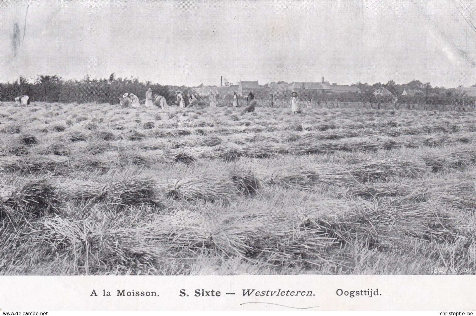 Vleteren, A La Moisson, S Sixte St Sixtus, Westvleteren, Oogsttijd (pk85668) - Vleteren