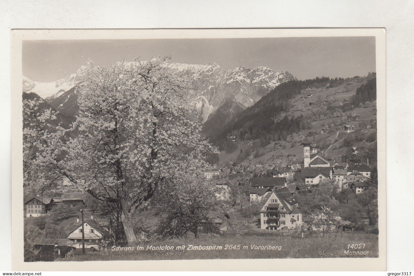 D4727) SCHRUNS Im Montafon Mit Zimbaspitze - Vorarlberg - Blühender Baum U. Häuser Details ALT - Schruns