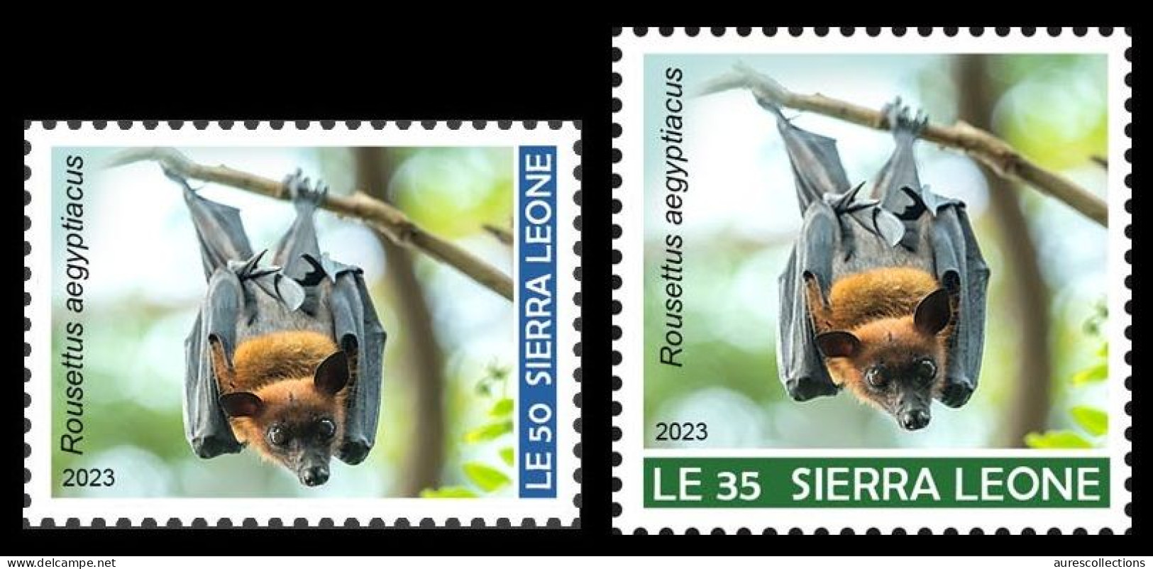 SIERRA LEONE SET 2V 2023 - BATS BAT CHAUVES CHAUVE-SOURIS SOURIS - MNH - Fledermäuse