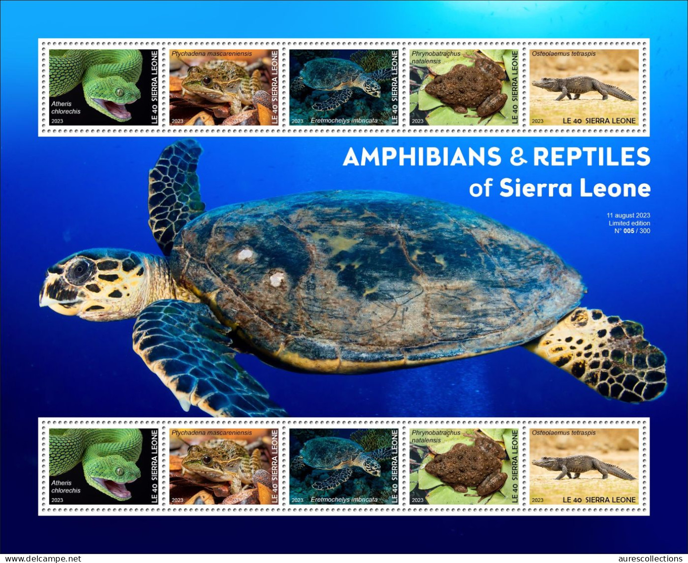 SIERRA LEONE 2023 SHEET 10V - AMPHIBIANS REPTILES - FROG FROGS TURTLE TURTLES SNAKE SNAKES CROCODILE CROCODILES - MNH - Serpents