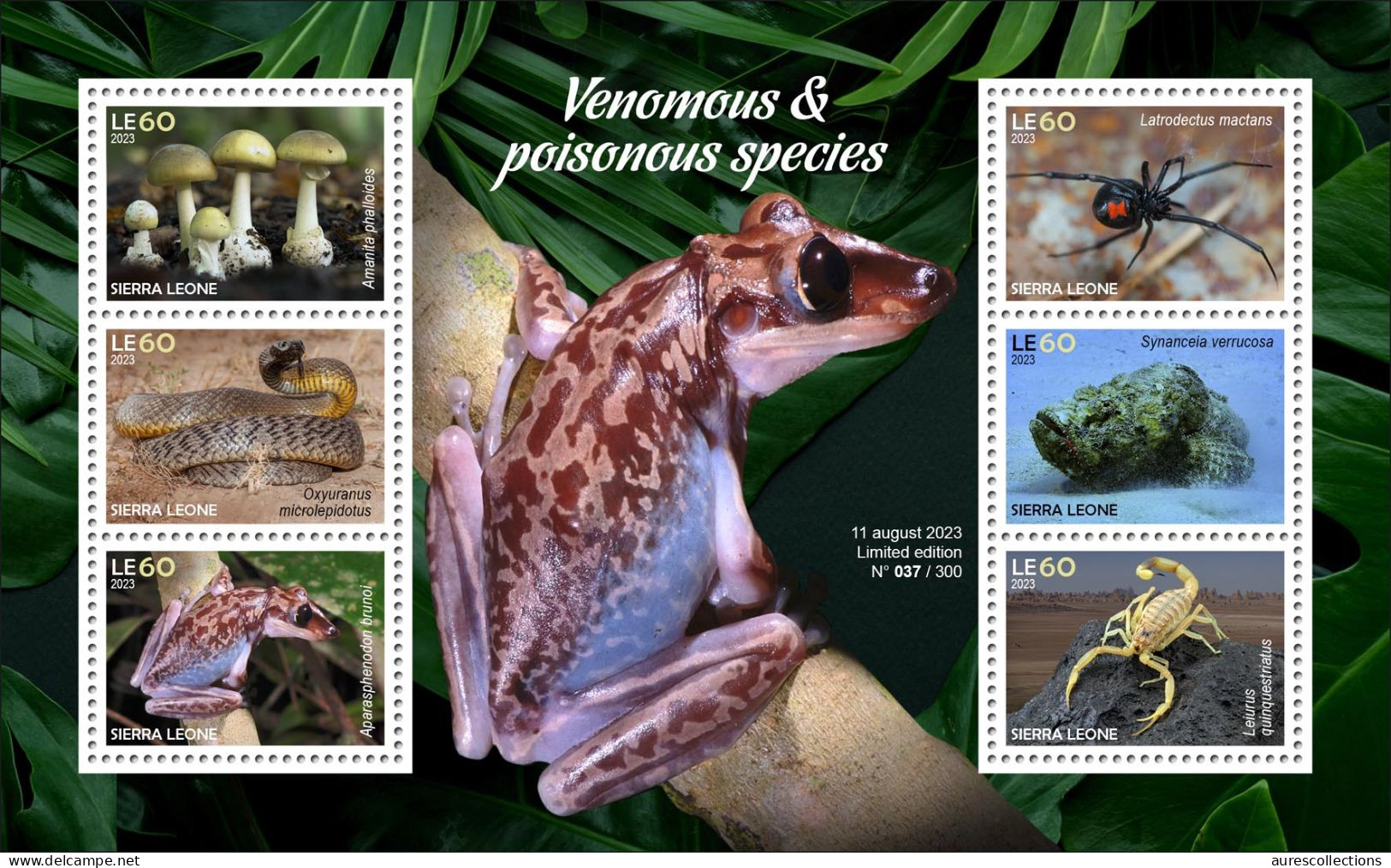 SIERRA LEONE 2023 SHEET 6V - POISONOUS TOXIC VENOMOUS - FROG FROGS MUSHROOMS SNAKES FISH FISHES SCORPION SPIDERS - MNH - Serpents