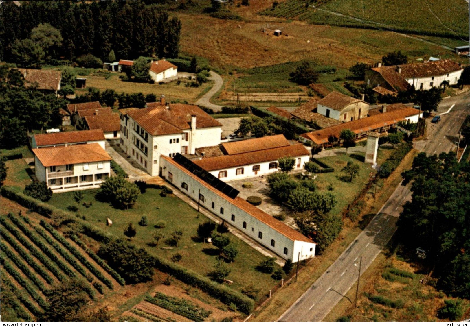 Damazan Maison De Repos De Cap Du Bosc   CPM Ou CPSM - Damazan