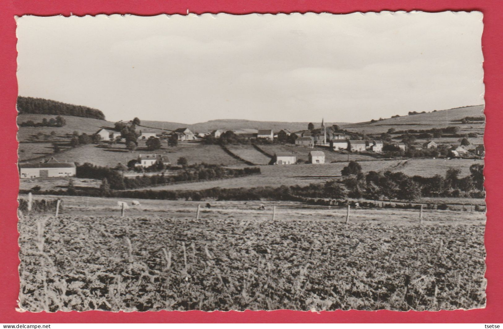 Lesterny ... Panorama Du Village -1 ( Voir Verso ) - Nassogne