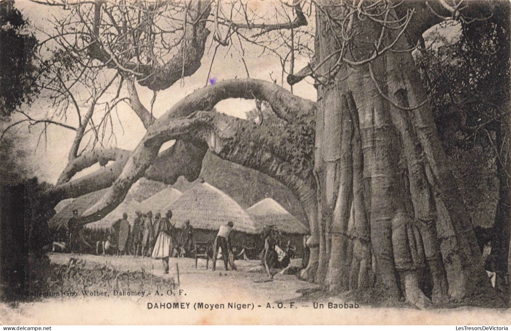 MOYEN NIGER - Dahomey - AOF - Un Baobab - Carte Postale Ancienne - Níger