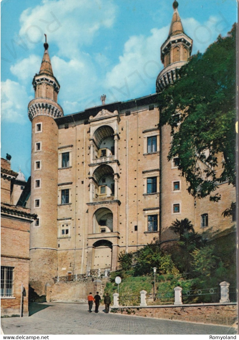 CARTOLINA  URBINO,MARCHE-PALAZZO DUCALE-I TORRICINI (sec.XV)-CULTURA,RELIGIONE,IMPERO ROMANO,BELLA ITALIA,VIAGGIATA 1964 - Urbino