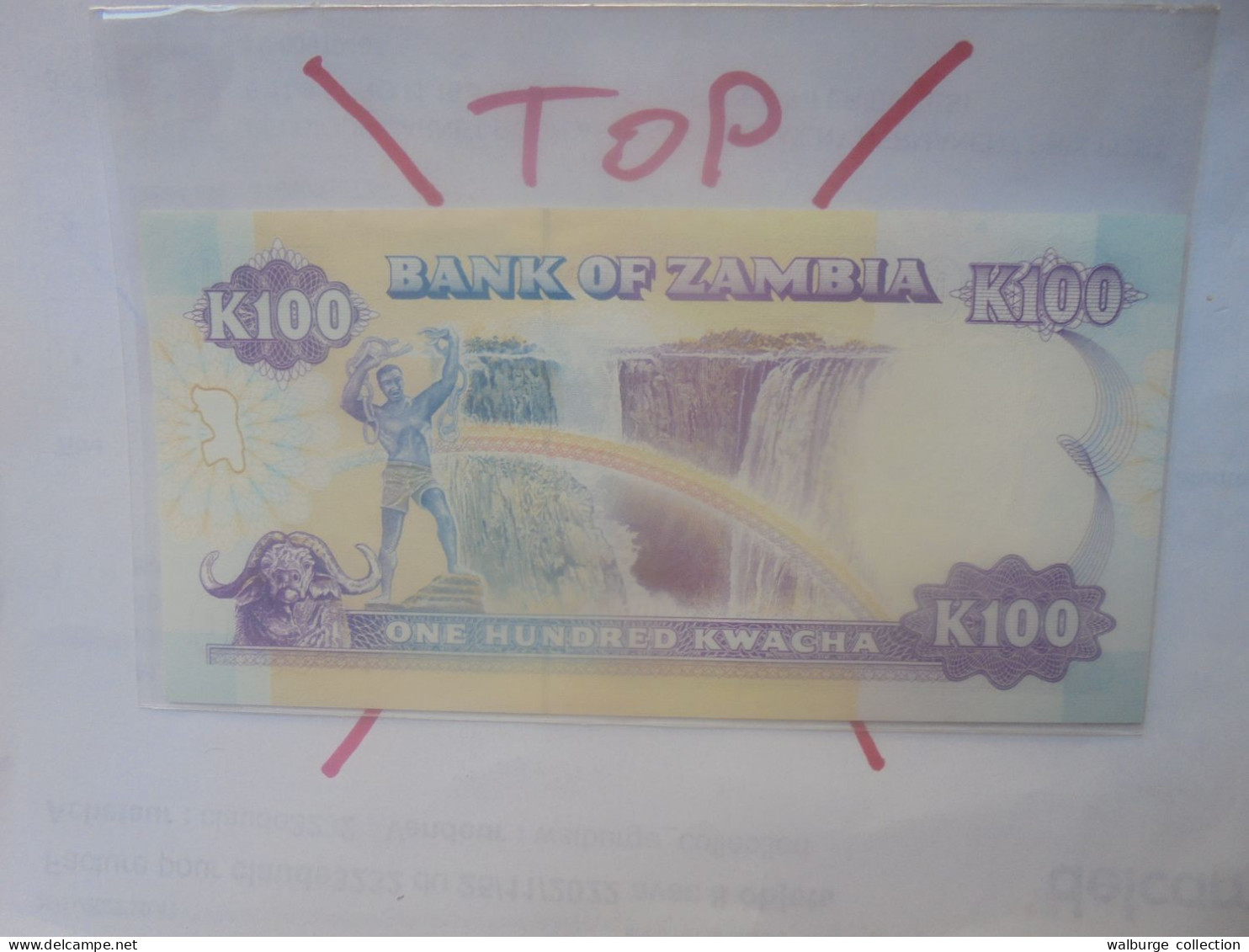 ZAMBIE 100 KWACHA 1991 Neuf (B.30) - Zambie
