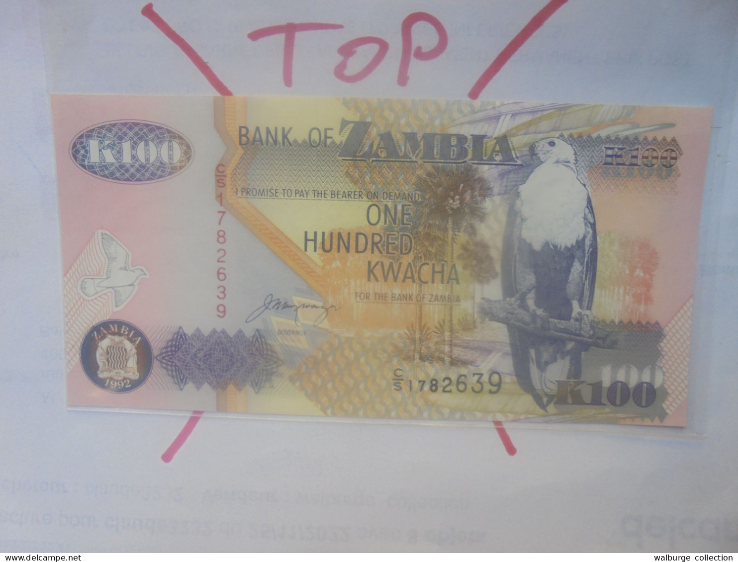 ZAMBIE 100 KWACHA 1992 Neuf (B.30) - Zambie