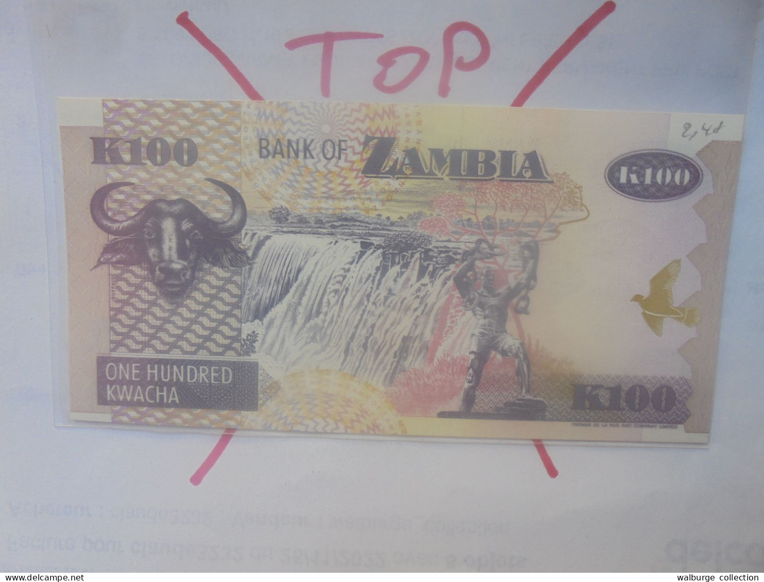 ZAMBIE 100 KWACHA 1992 Neuf (B.30) - Zambie