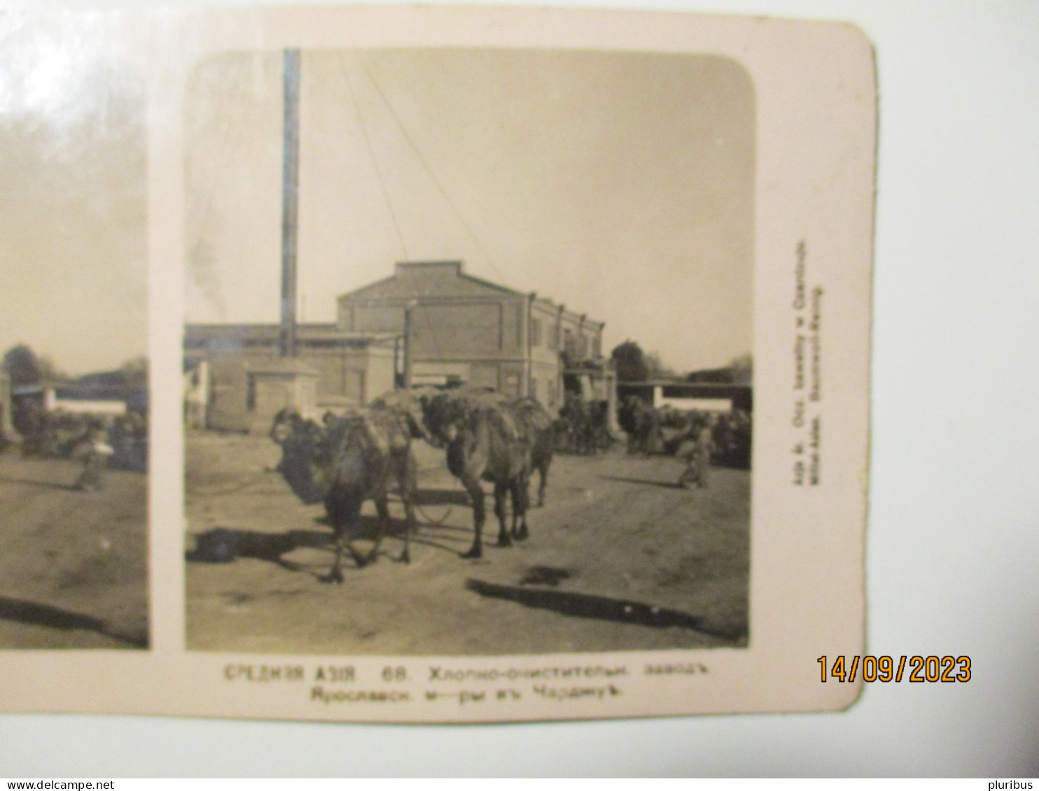 IMP RUSSIA TURKMENISTAN Chardzhou TURKMENABAD , YAROSLAVSK COTTON FACTORY , CAMELS , STEREO PHOTO - Turkménistan