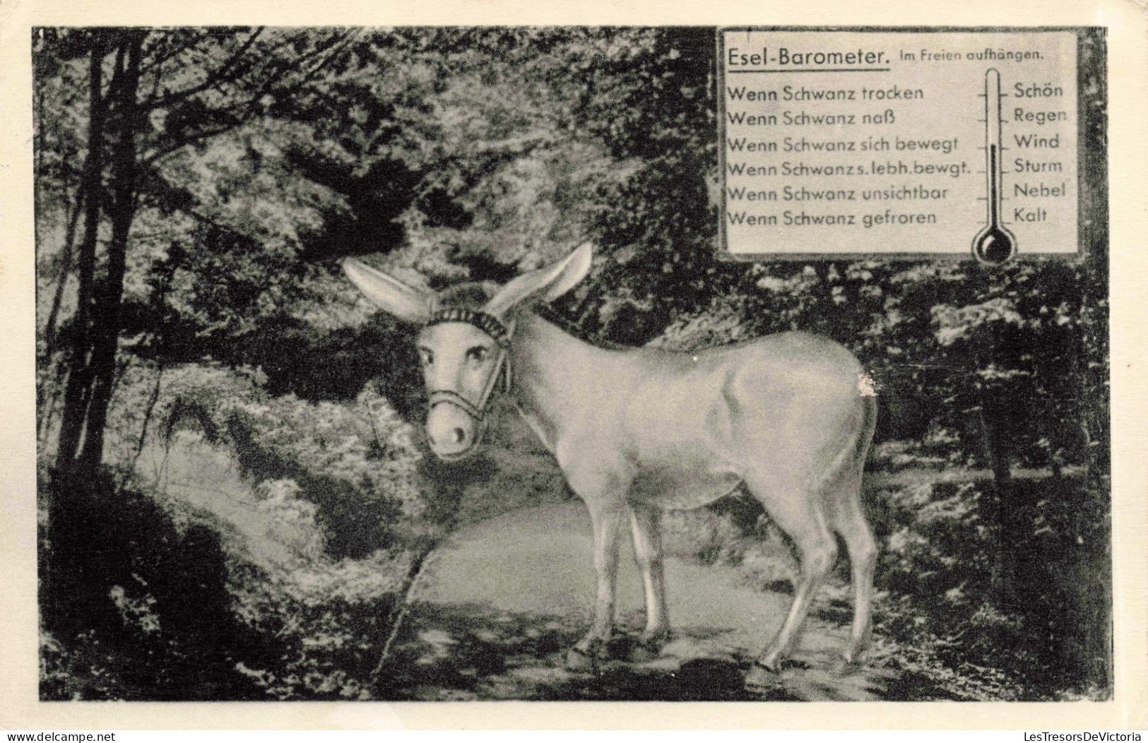 ANIMAUX - Âne - Esel Barometer -  Carte Postale Ancienne - Esel