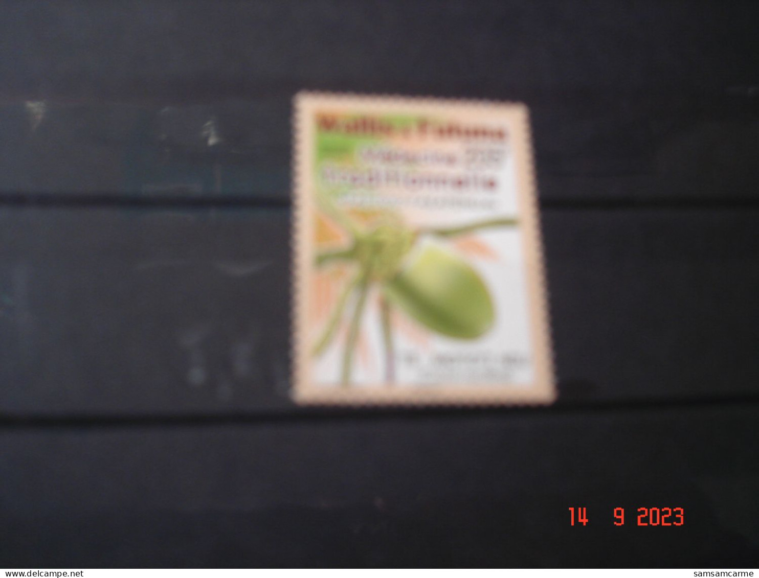 WALLIS ET FUTUNA       ANNEE 2023       MEDECINE TRADITIONNELLE    TE MOTO'1 NIU - Unused Stamps