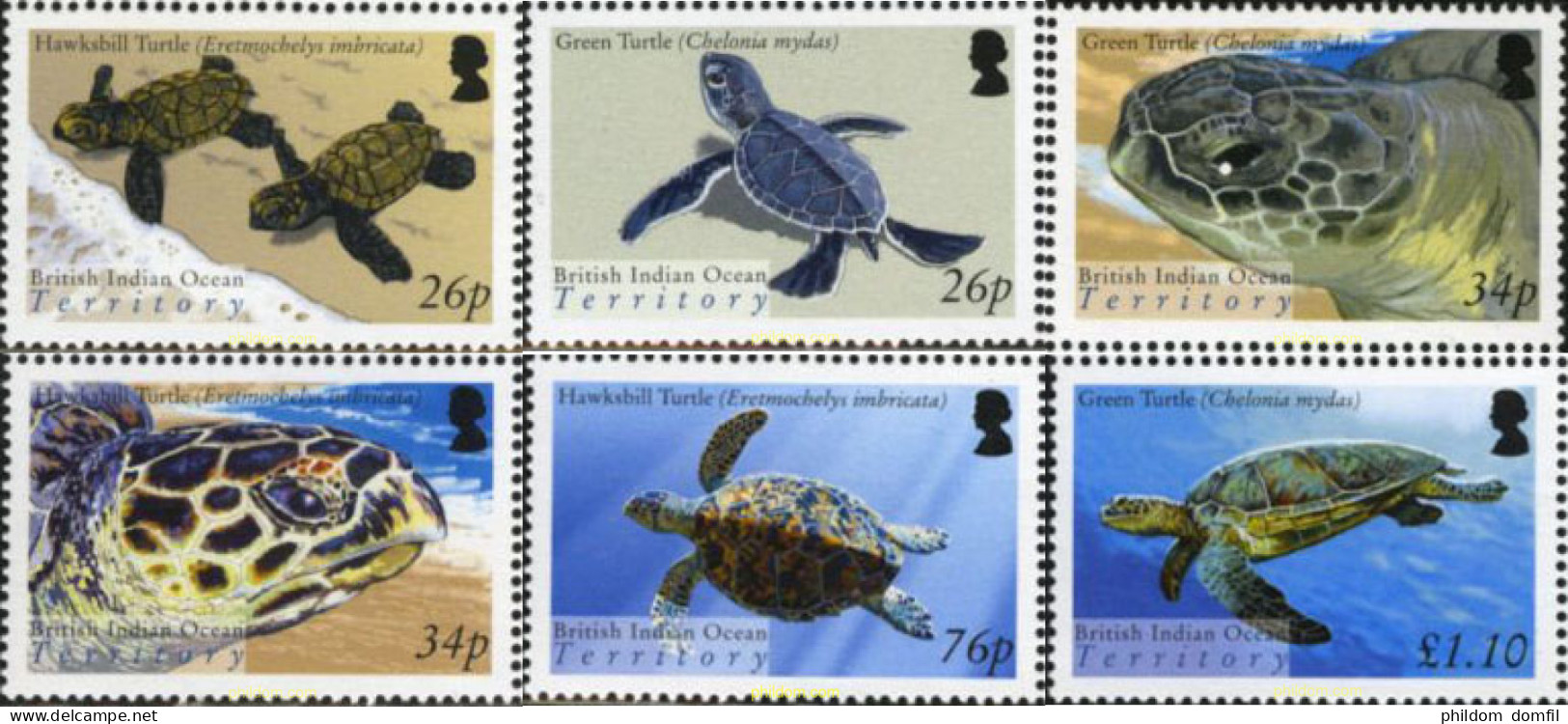 155059 MNH OCEANO INDICO BRITANICO 2005 TORTUGAS MARINAS - Territorio Britannico Dell'Oceano Indiano