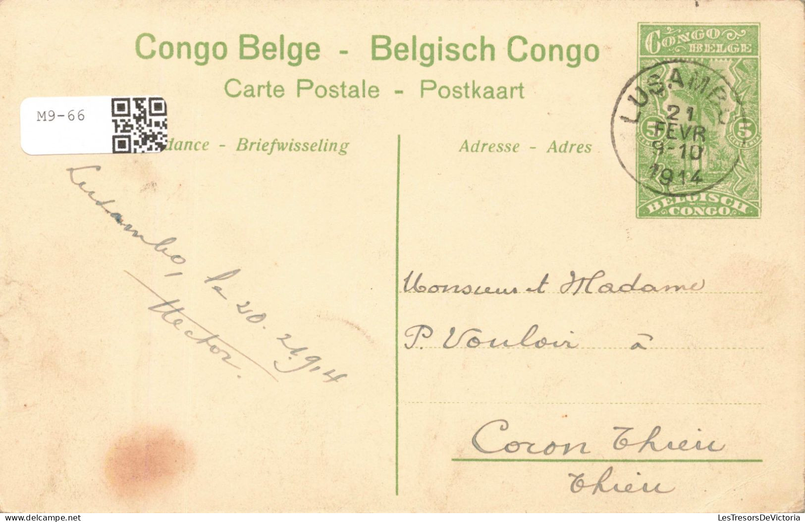 CONGO KINSHASA - Congo Belge - Avenue Des Palmiers à Banana - Carte Postale Ancienne - Belgisch-Congo