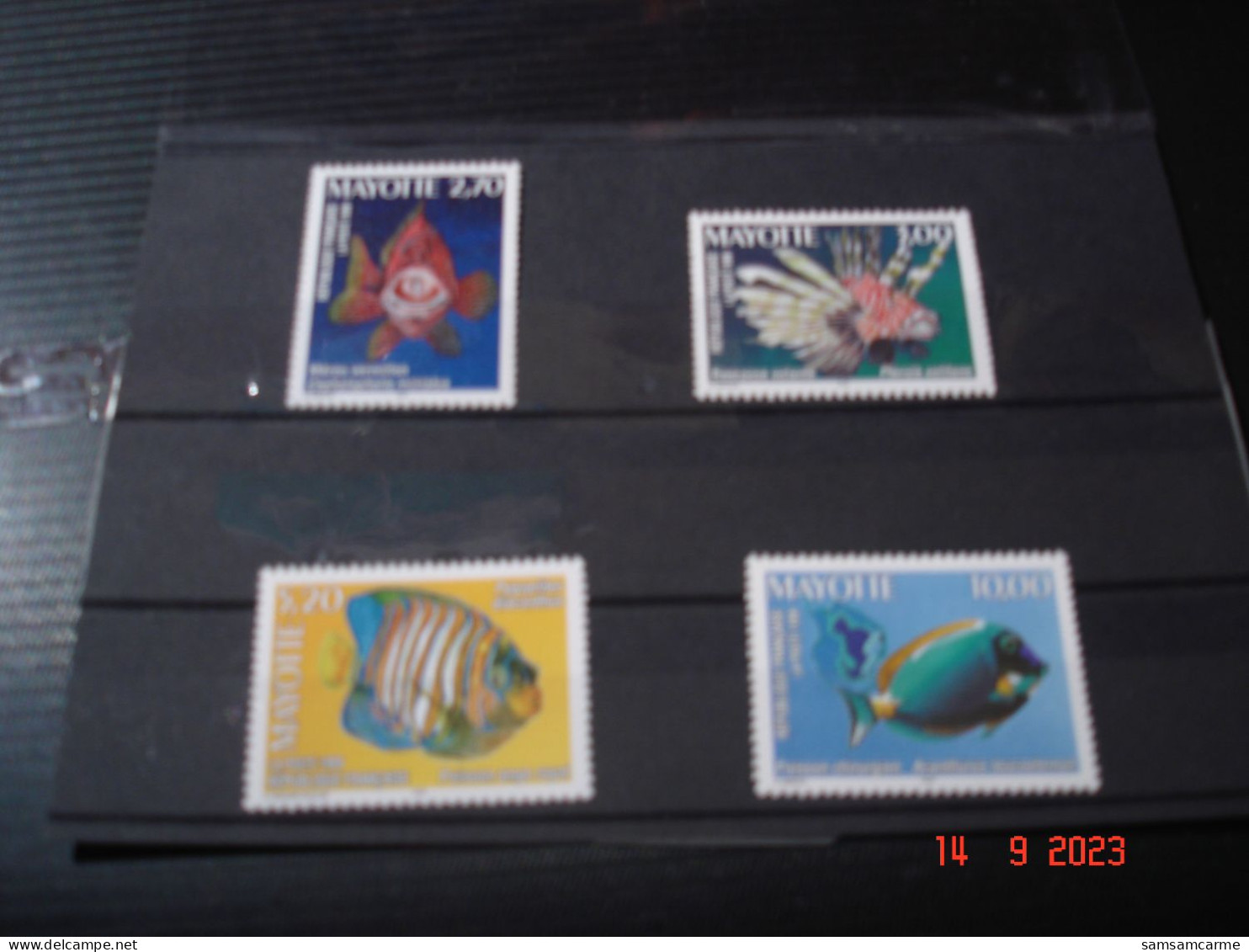 MAYOTTE   ANNEE 1999    NEUFS   N° YVERT  71 A 74    SERIE COMPLETE 4 VALEURS    FAUNE:   POISSONS DU LAGON - Collections (sans Albums)