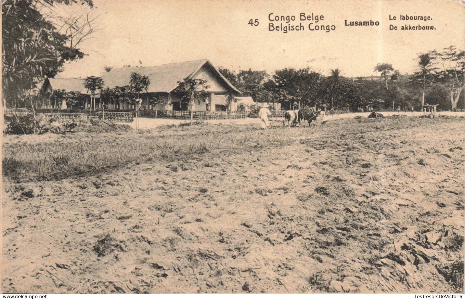 CONGO KINSHASA - Congo Belge - Lusambo - Le Labourage - Carte Postale Ancienne - Belgisch-Congo