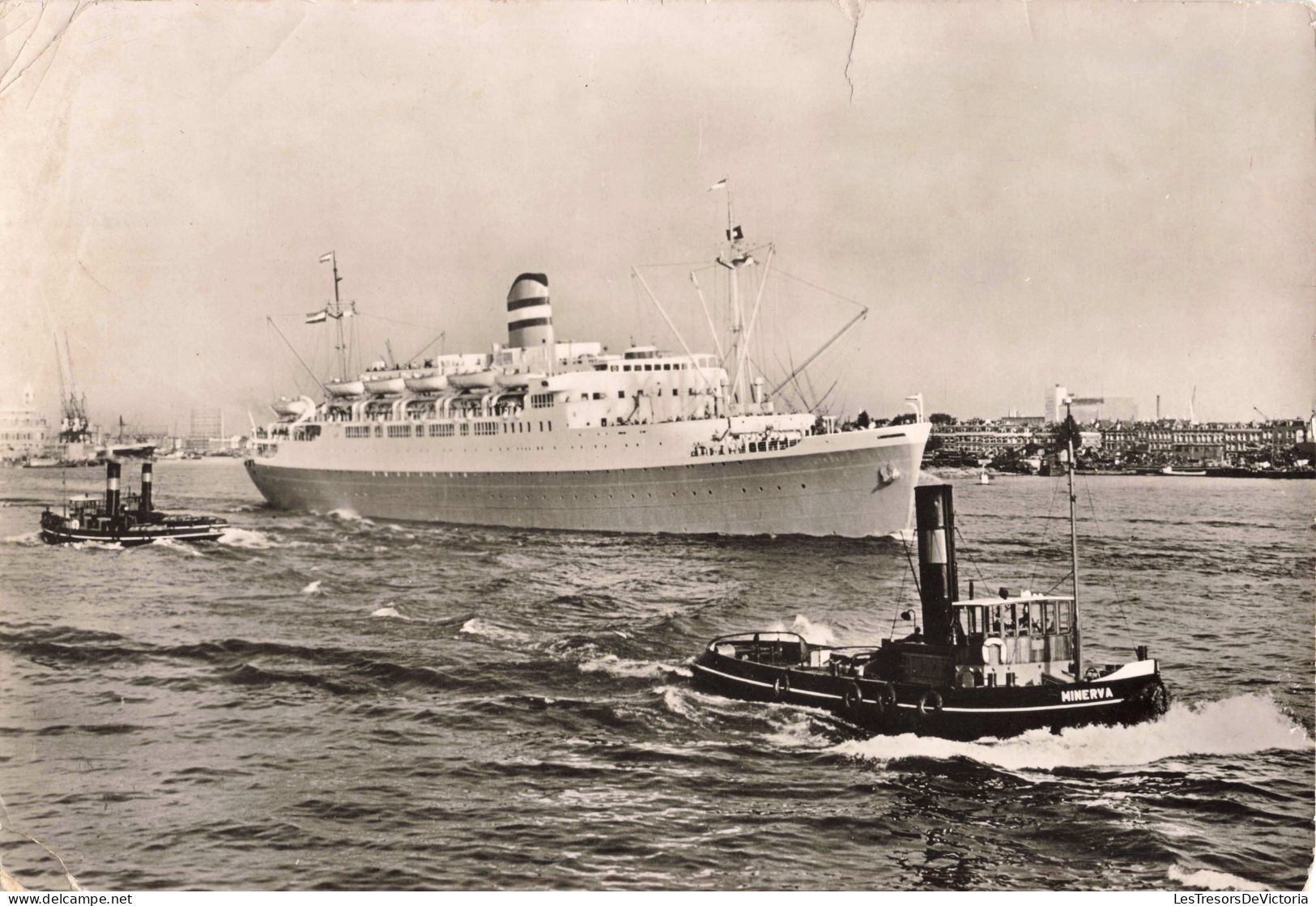 Transports - Bateau - SS Ryndam - Holland-America Line - Grand Format 21,5/15 Cm -   Carte Postale Ancienne - Steamers