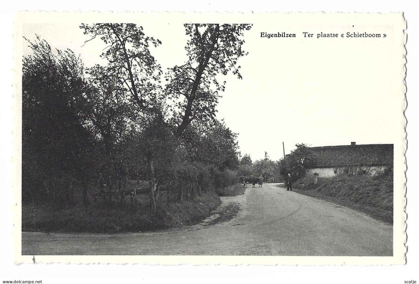 Eigenbilzen   -   Ter Plaatse  " Schietboom" - Bilzen