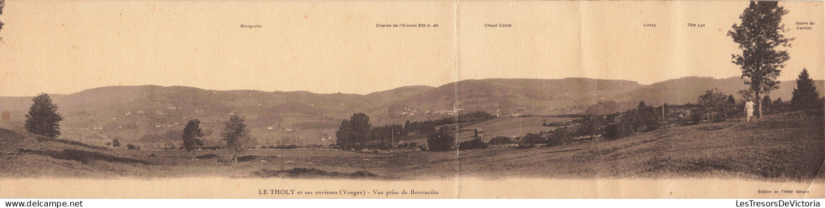 France - Le Tholy Et Ses Environs - Vue Prise De Bouvacôte - Grand Format 41/9 Cm -   Carte Postale Ancienne - Otros & Sin Clasificación