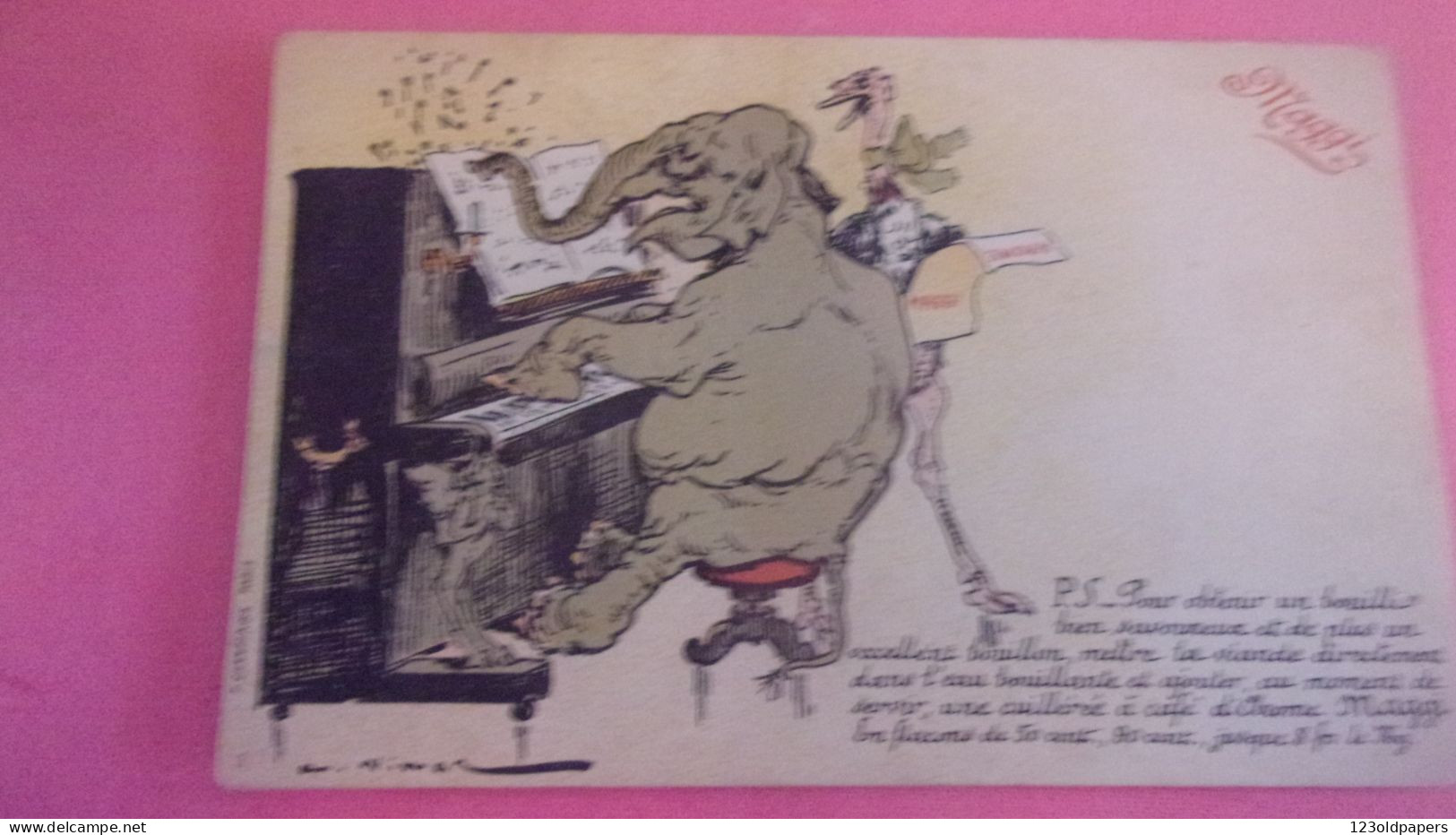 Publicité Publicitaire Réclame  MAGGI Par Vimar éléphant  PIANISTE Autruche  ANIMAUX HUMANISES - Éléphants