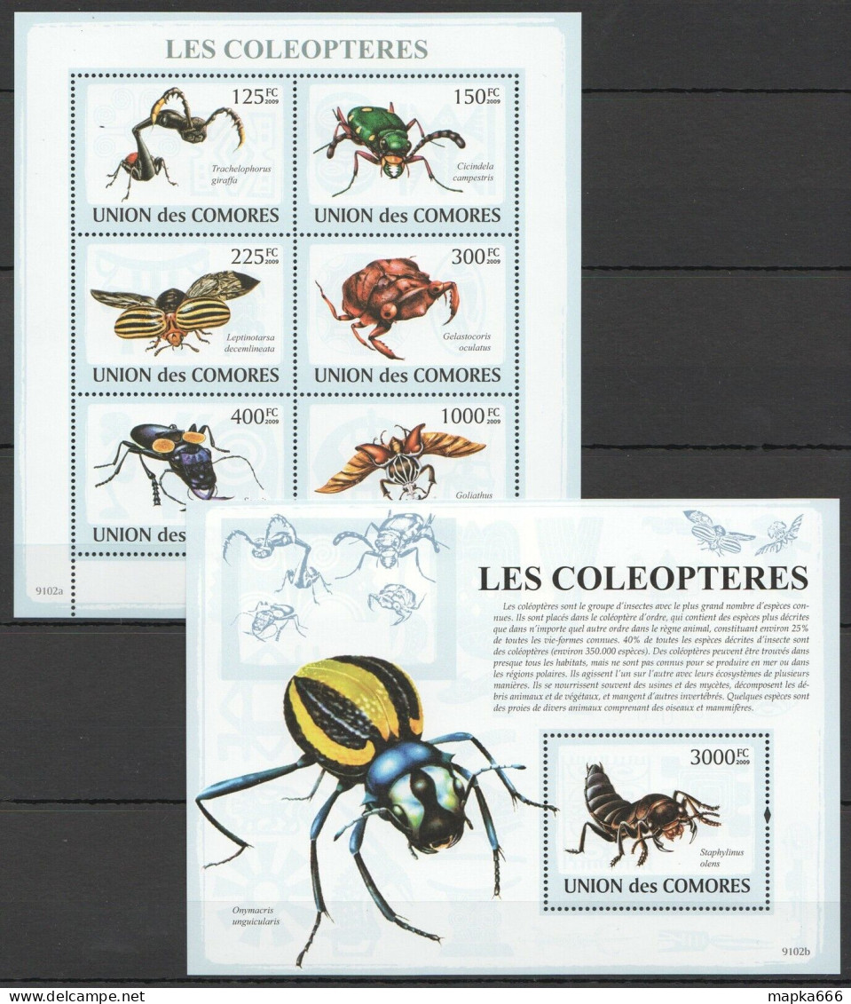 Uc058 2009 Comoros Insects Coleopteres Beetles Kb+Bl Mnh - Abeilles