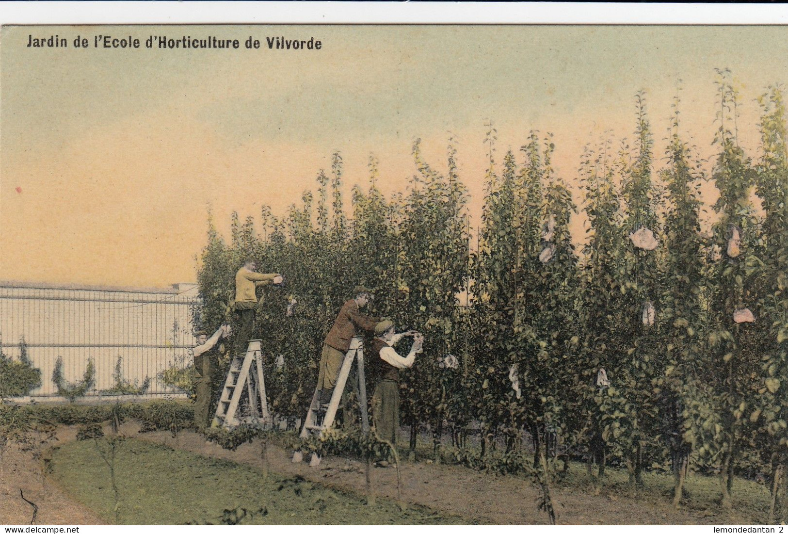 Vilvoorde - Jardin De L'Ecole D'Horticulture De Vilvorde - Vilvoorde