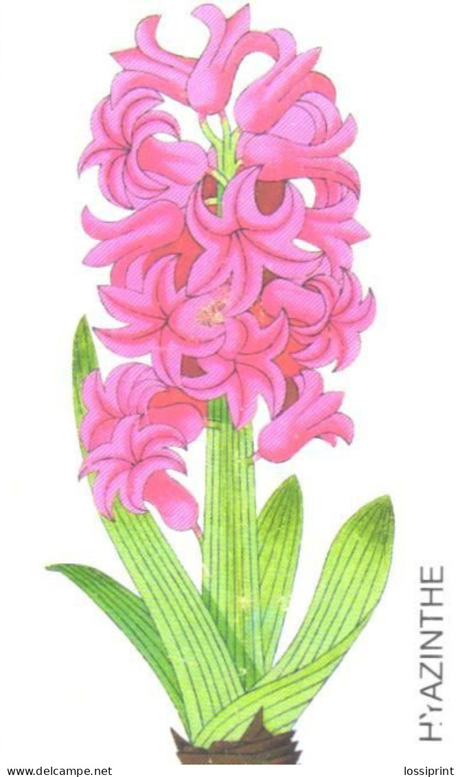 Germany:Used Phonecard, T, 12 DEM, Flower, Hyacinth, 1998 - Fleurs