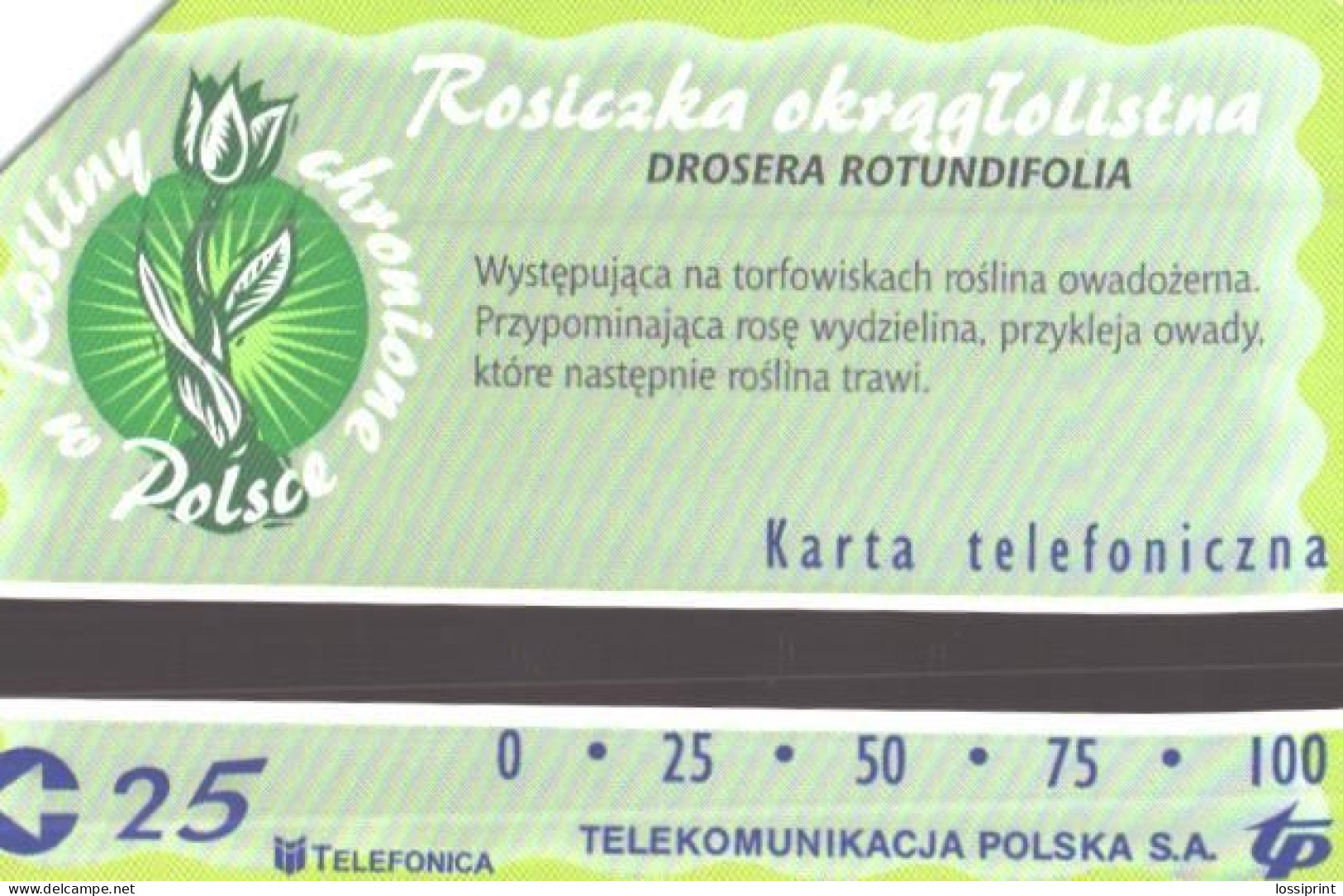 Poland:Used Phonecard, Telekomunikacja Polska S.A., 100 Units, Drosera Rotundifolia, Flowers - Blumen