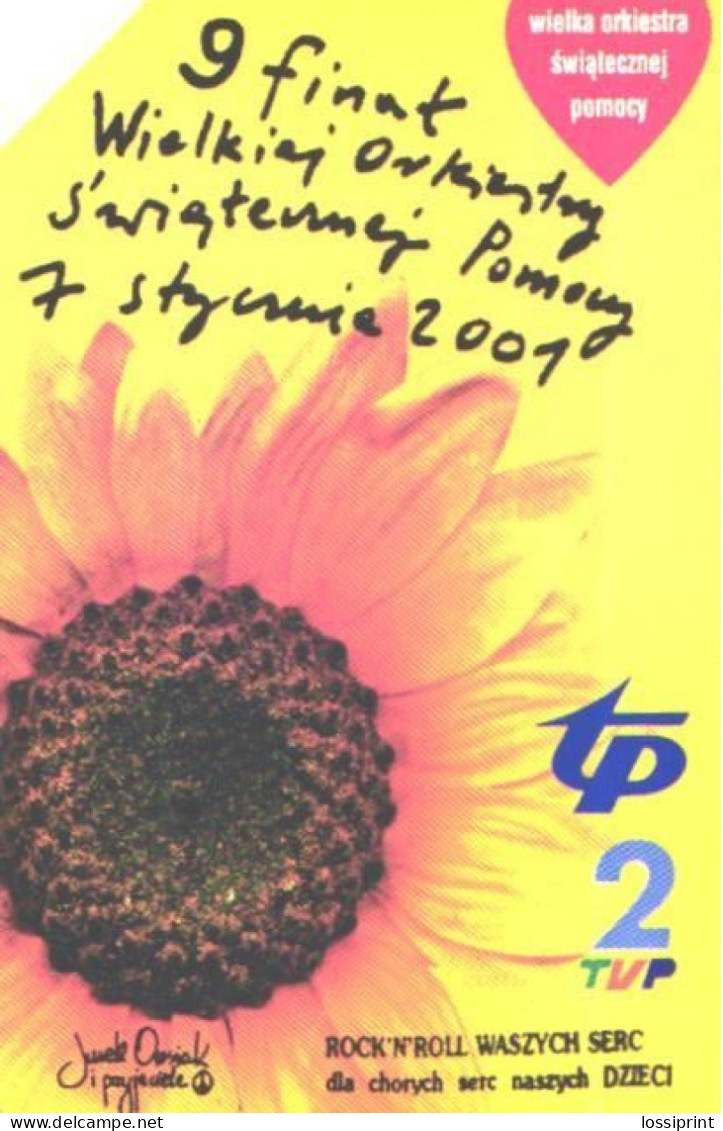 Poland:Used Phonecard, Telekomunikacja Polska S.A., 100 Units, Sunflower - Blumen
