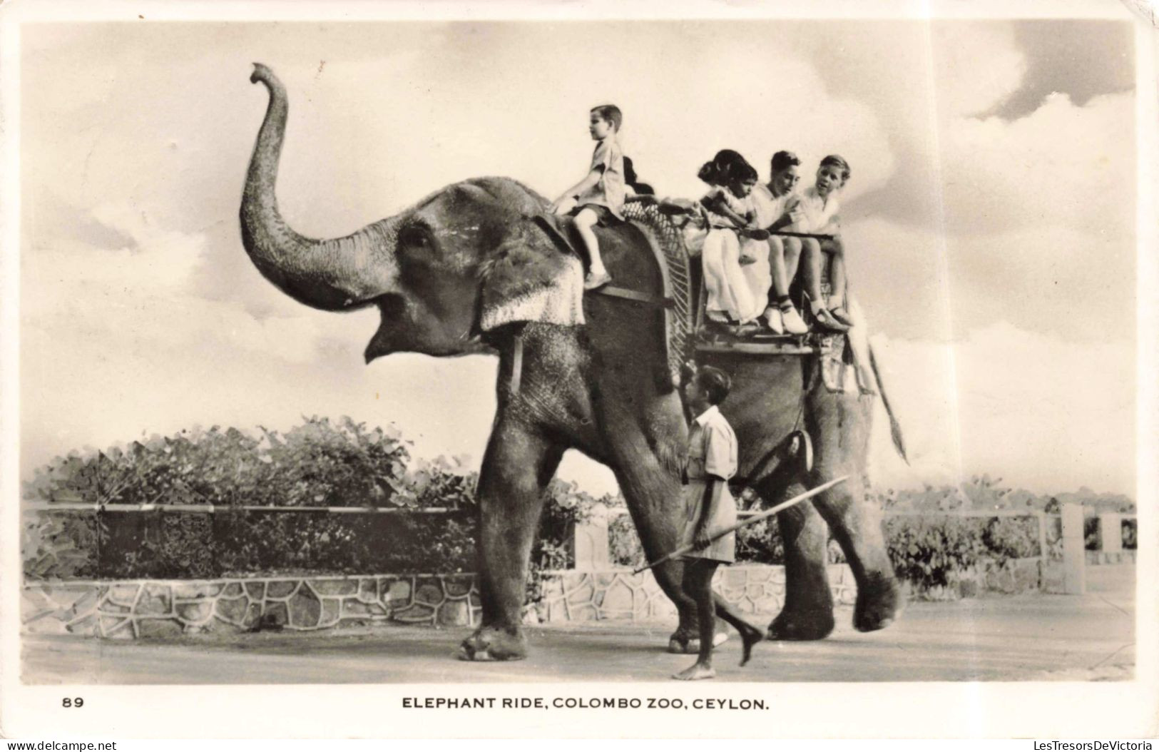 SRI LANKA - Ceylon - Colombo Zoo - Eléphant Ride - Carte Postale Ancienne - Sri Lanka (Ceylon)