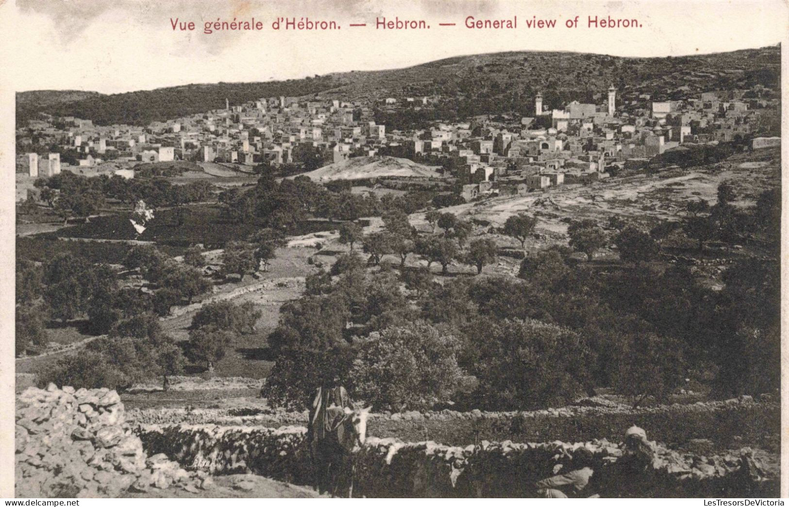 PALESTINE - Vue Générale D'Hébron - Carte Postale Ancienne - Palestine