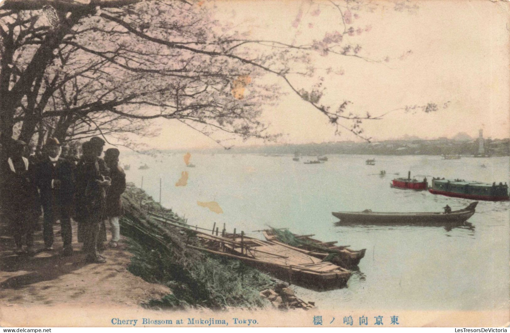 JAPON - Tokyo - Cherry Blossom At Mukojima - Colorisé - Carte Postale Ancienne - Tokyo