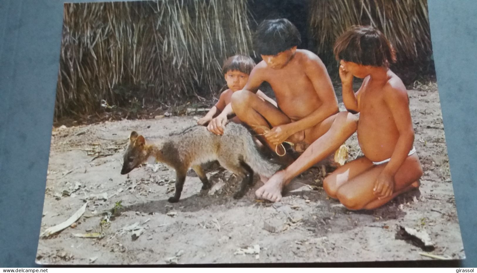 CPSM JEUNE INDIEN LAUALAPITI ANIMAL RAPOSA RENARD ? PARC XINGU  AMERIQUE BRASIL BRESIL NATIVO AMAZONIE ETHNIQUE CULTURE - America