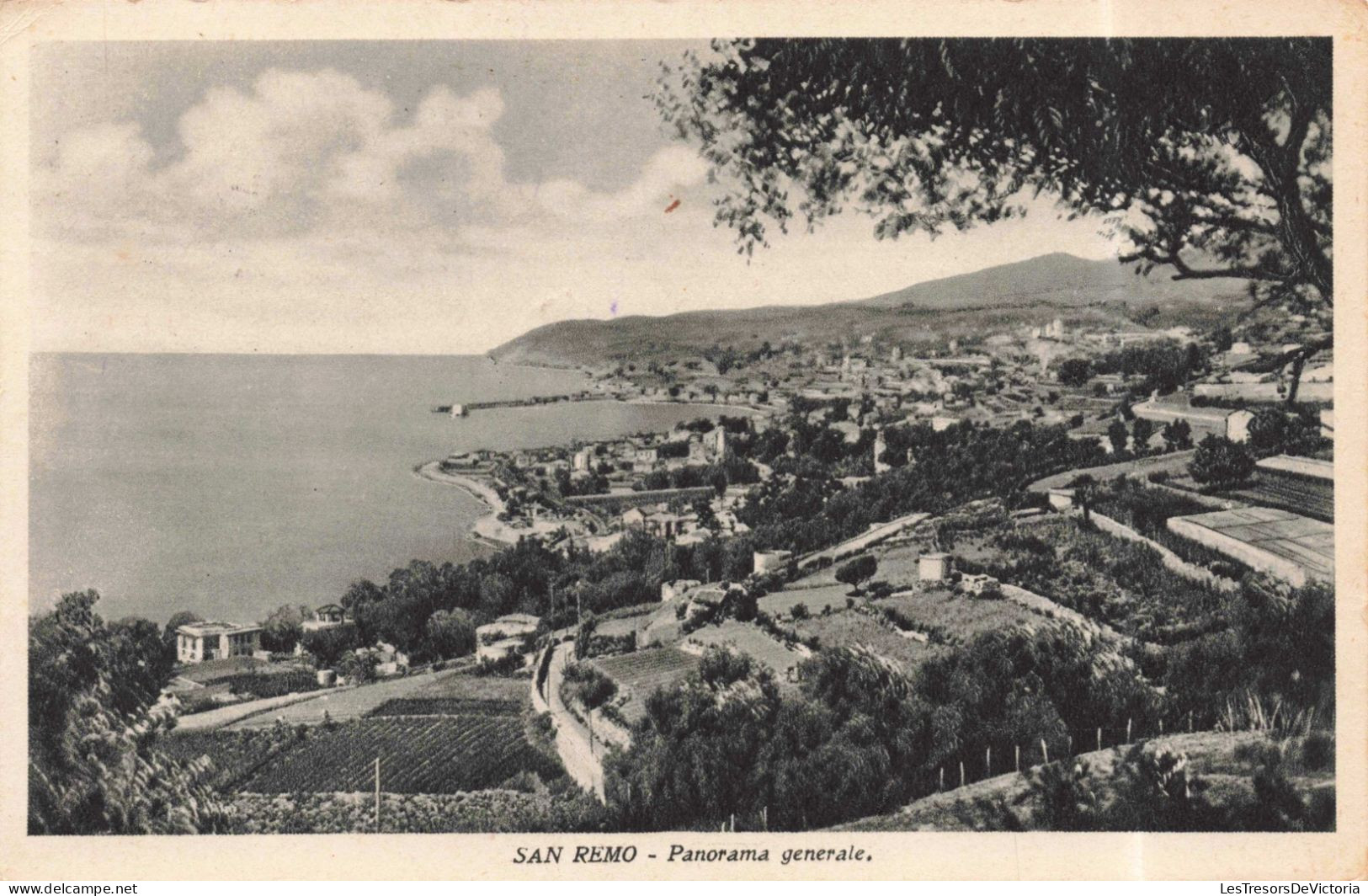 ITALIE - Imperia - San Remo - Panorama Générale - Carte Postale Ancienne - Imperia