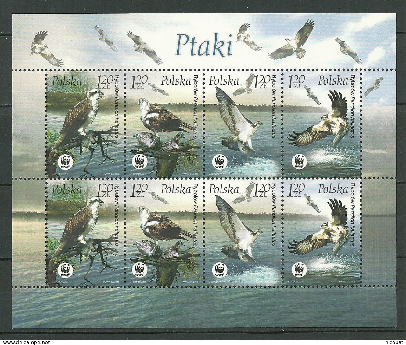 POLAND MNH ** 3830-3833 En Feuille FAUNE. RAPACE. RAPACES. OISEAU. OISEAUX Bird - Feuilles Complètes