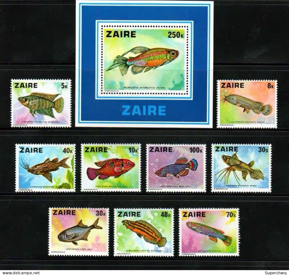 Zaire 1978 Fish Tropical Fish，9v+MS MNH - Neufs