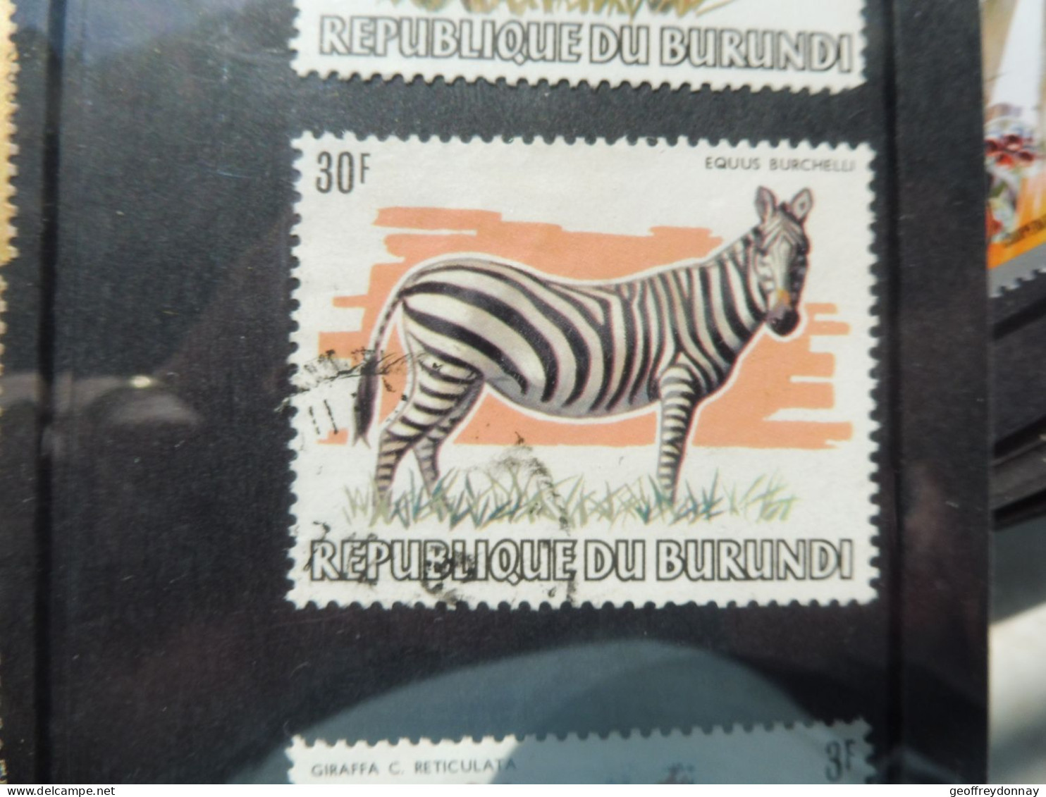 Burundi 857  Animaux Dieren Oblitéré Used Gestempelt 1982 - Used Stamps