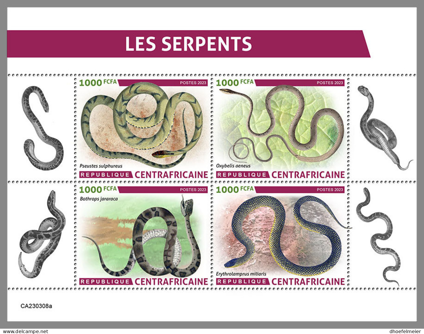 CENTRAL AFRICAN REP. 2023 MNH Snakes Schlangen Serpents M/S - OFFICIAL ISSUE - DHQ2337 - Serpents