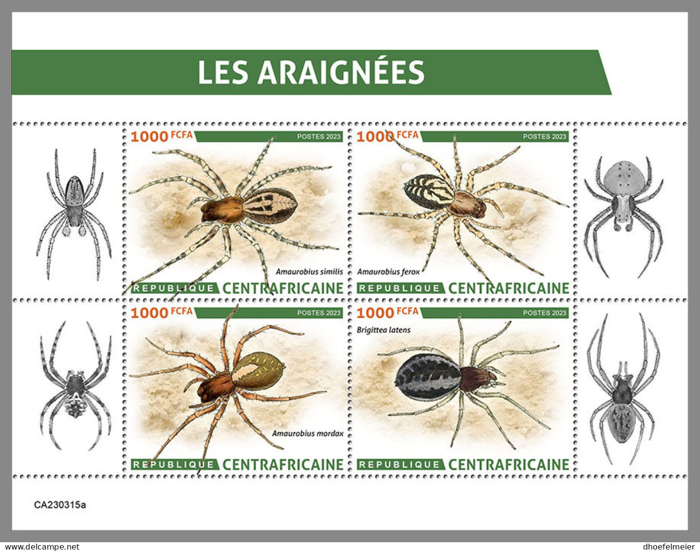 CENTRAL AFRICAN REP. 2023 MNH Spiders Spinnen Araignees M/S - OFFICIAL ISSUE - DHQ2337 - Arañas